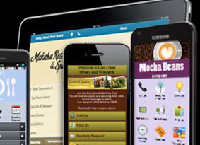 Website & Mobile Site Development